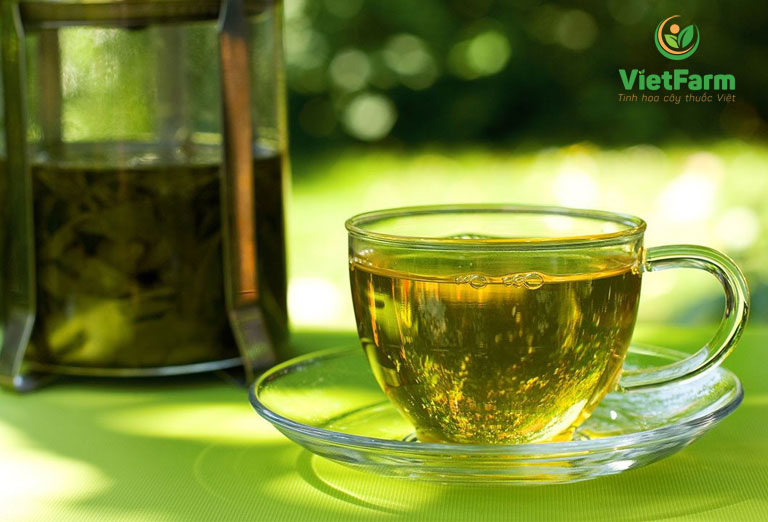 Dùng trà mã đề kết hợp với cam thảo dùng chữa ho hiệu quả