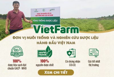 trung tâm Vietfarm