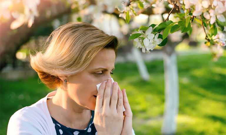 Người dị ứng với phấn hoa rất dễ bị viêm mũi xoang cấp vào thời điểm giao mùa