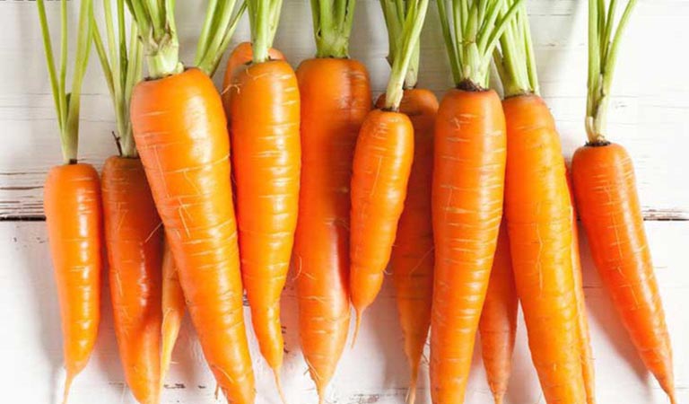 Cà rốt đang là một loại thực phẩm đang được sử dụng rộng rãi khắp thế giới
