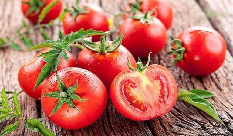 Cà chua là thực phẩm quen thuộc trong bữa cơm của nhiều gia đình