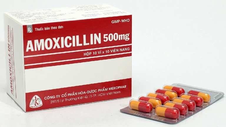 Thuốc Amoxicillin trong phác đồ điều trị loét dạ dày Hp
