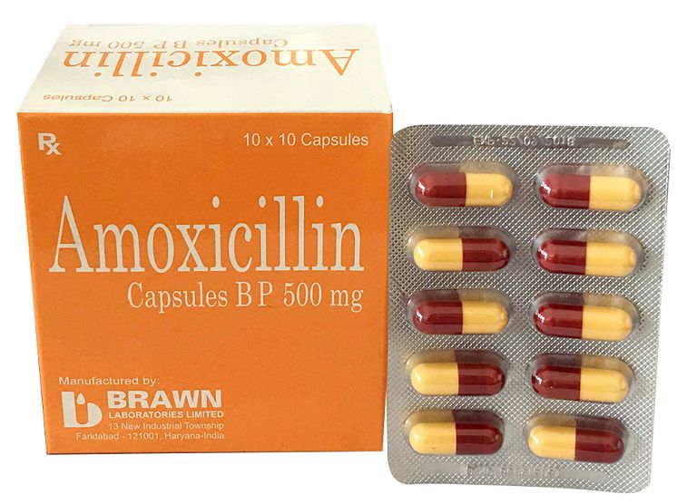 Thuốc giúp điều trị vi khuẩn Hp Amoxicillin