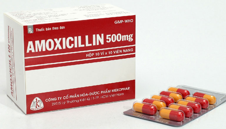 Thuốc không tương tác nhiều với Amoxicillin và một số thuốc khác