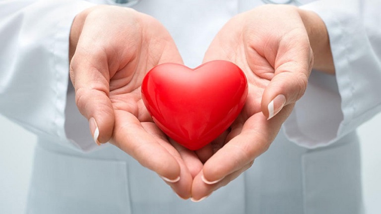 Trà sâm có tác dụng tốt trong việc bảo vệ và tăng cường hệ tim mạch