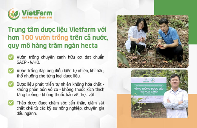 Ưu điểm vượt trội của Dược liệu Vietfarm