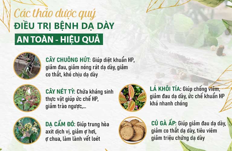 Thành phần biệt dược bài thuốc Sơ can Bình vị tán